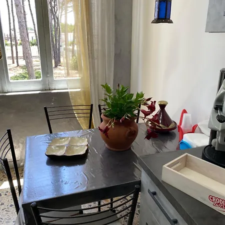 Apartament Rama